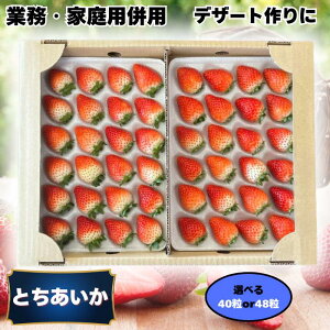 yN[|300~ItzJA Ƃ Ɩp ƒpɂ 2L L 40`48 570g` Aǂ藹肢܂ ①   C`S  JAƂƖ