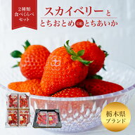 【最終 感謝 価格!!】 いちご 食べ比べ スカイベリー とちおとめ とちあいかJA佐野 栃木県産 プレゼント …