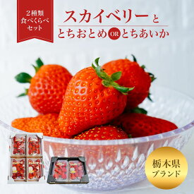 予約商品【11月末順次発送 12月いっぱい】いちご 食べ比べ スカイベリー とちおとめ とちあいかJA佐野 栃木県産 プレゼント ギフト 産地直送 冷蔵便 バレンタイン ホワイトデー お歳暮 お年賀