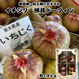イチジク 加工向け 生食OK 約400g×4パック 収穫出来次第の発送 栃木県佐野市産生 M〜2Lサイズ16〜24個前後 ワイン ヨーグルトのお供に 一部離島地域配送不可 産地直送 冷蔵便