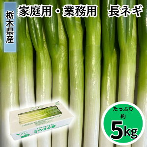 󂠂 ˂ ˂ 5kg ̂܂K AKi F lMoו ƒp Ɩp lM lM ЉvlM ̂܂KvWFNg 󂠂