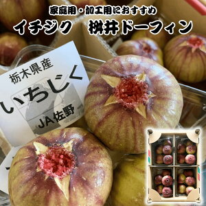 C`WN H Ղ荇v1.6kg 350g`400g×4pbN Hpɂ Ȗ،Y 116`24O C [Oĝ ꕔnzs Yn ①