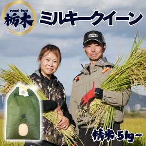 JA ߘa7NY V ~L[NC[ Ȗ،Y 󂠂   rice   5kg 5L YUMERIFARM ֌_