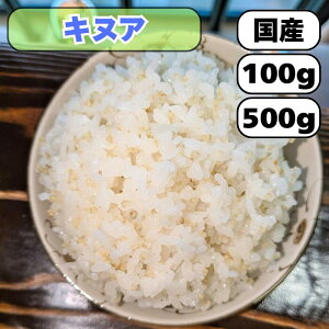 ʂ LkA Y G G Ăɍ邾  т Ynϓ 