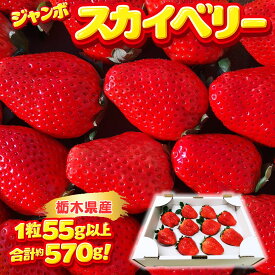 【新発売】特大 ジャンボ スカイベリー 1パック約570g 1粒55g以上 栃木県産 JA直送 ギフト イチゴ いちご 冷蔵便 送料無料 苺 木塚いちご農園 木塚雄介
