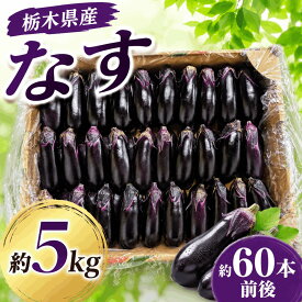 なす 5kg 約60本入り ナス 茄子 JA直送 朝採り 新鮮 産地直送 業務用 家庭用 焼きなす 麻婆なす 揚げびたし 天ぷら 夏野菜 栃木県佐野市産
