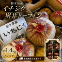 イチジク 生食 たっぷり合計約1.4kg 約350g×4パック 加工用にも 栃木県産 1箱16〜24個前後 ワイン ヨーグルトのお供…