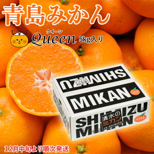 yΕzyzy\񏤕i@2025N12{蔭z݂É Y ݂ Queen(NC[) 5kg ̃~J B݂ ݂ t[c Mtg v[g