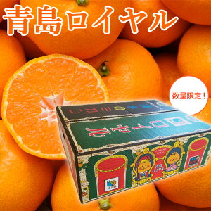 y\zy2026N1zʌIÉ Y ō ݂ C 2L܂LTCY 5kg ̃~J B݂ ݂