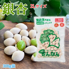 静岡 清水産 ギンナン 2L 真空パック 300g銀杏 ぎんなん冷蔵配送