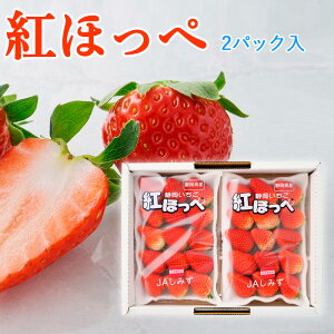 yΕzÉ gق DX 2pbN①t[c Mtg v[g