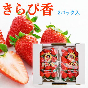 yΕzÉ@uҍvDX 2pbN① v~A t[c Mtg v[g