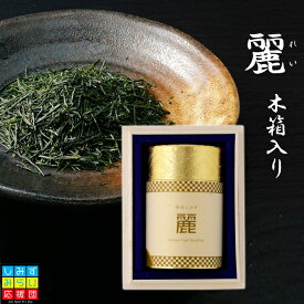 【2024新茶】清水のお茶　当店最高級品質 麗 70g エンボス缶 静岡茶 手摘み ギフト 高級 リーフ 煎茶