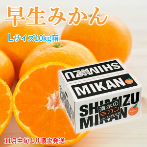 yzy\zy11{菇zÉ Y ݂LTCY@10kg݂@~JΕ t[c Mtg v[g