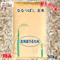 楽天市場】なすひかり 30（米・雑穀｜食品）の通販