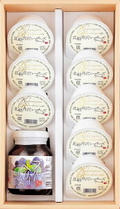 A`[YP[LEu[x[\[XZbg c̖ Qn ܔ_