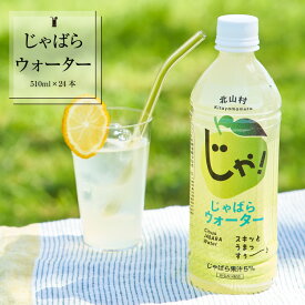 【 北山村公式】 じゃばらウォーター 510ml×24本 ジュース ギフト セット ドリンク 果物 フルーツ プレゼント みかん ゆずジュース じゃばらジュース じゃばらドリンク じゃばら ジャバラ 邪払 果汁 柑橘 和歌山 送料無料 ナリルチン スポーツドリンク