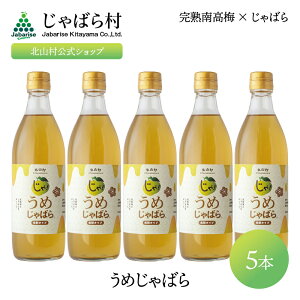 y n썂~gp z߂΂ 500ml ( ΂ Wo ו JABARA t[c ʕ W[X hN Mtg v[g ~  k a̎R kR ) [ kRVbv ΂瑺 ]