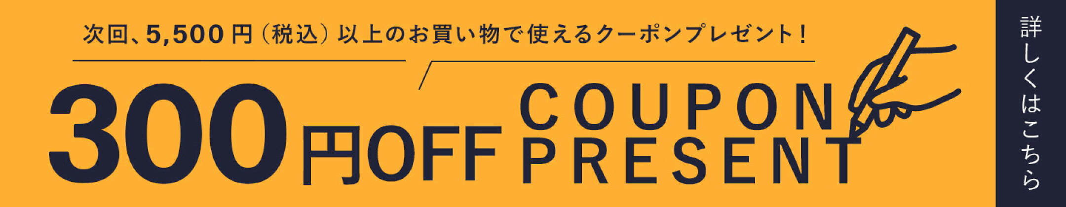 レビューを書いて300円OFFクーポン