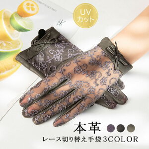  [X fB[X uvJbg {v  ʋC  T}[ K ʋC Ă΍ Ă O΍ X}z t H  ^] IV 