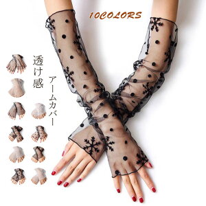 A[Jo[  [X  Ă΍ UV΍ UVJbg fB[X  O ΍ Ă~ wȂ  rJo[ bOEH[}[ V 