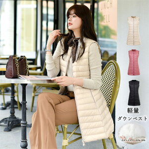 _ExXg fB[X y LeBO Ci[_E O gbvX  h אg  O  y t[hȂ n g AE^[  