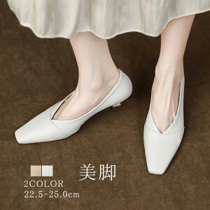 pvX fB[X PUU[pvX Vv q[ ₷ ɂȂ ʊw ʋ ItBX d rWlX v[ [t@[ 