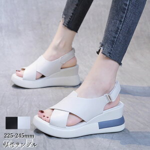 T_ fB[X T_ EFbW\[ OfBG[^[T_ ₷ ₷ Ȃ r Vv ʋ ɂȂ JWA ĕ 