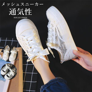 bVXj[J[ fB[X Xb|  ʋC K _炩 JWA 芴 ₷ ʊw ʋ ɂ ɂȂ o p   