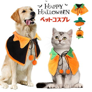 nEB  ybgp RX`[ }g Xq 2_Zbg    L ybg ϐgObY RXv ʔ ybg RXv ^L q  