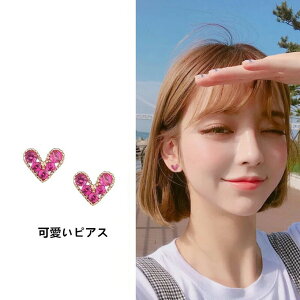 y[zsAX l 킢 WG[ CO Vv hX ANZT[ \ t Ǝ  񎟉 Mtg ACe ʋ ʊw  OL