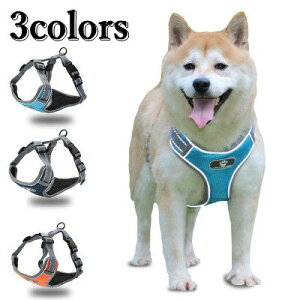  n[lX[h n[lX[hZbg  n[lX [h Ck hbO dog ˃GbW ^ p ybgp U o ȒP V 