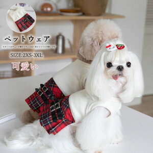 ybg L  JK s[X ybgEFA hbNEFA ybg  IV `FbN s[X L H ~  킢 ₷  RXv o U LO