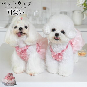  L~\[s[X hbOEFA ybgEFA ԕ `[s[X `[hX o U H~   ybg 킢 IV ybgpi іh~ 