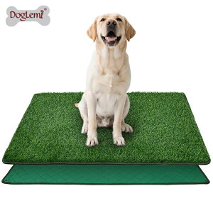 ybgp gCg[jO ړI lH gCg[i[  gCK pgC }bg  ybgV[g }bg ybggCV[g pgCg[ lHŃ}bg 