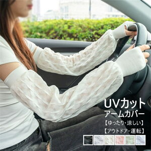 A[Jo[ fB[X A[Jo[ uvJbg ⊴ ڐG⊴ {[  O Ă΍ ^] St UV  O΍ UVO[u AEghA hCu jO 