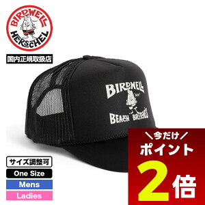 y11/1聚 |Cg2{ zo[hEF Y bVLbv Xq 5pl  T[tB Xg[g lCuh BIRDWELL ʔ 2024 V | LICENSE PLATE TRUCKERy3HA4-0033z