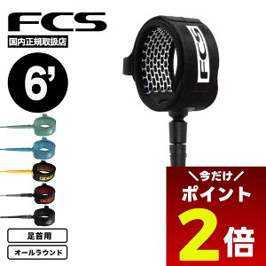 y12/1聚 |Cg2{ tbVN[| 100~OFF Ώ z[VR[h T[tB fcs GbZV I[Eh [V 6tB[g 6ft  T[t{[h T[tB ܂Ȃ 