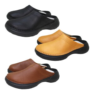 Qb^ Qb^Jk[ RegettaCanoe O^ RAGUTA T{V[Y {v JWA CJRG-0005 RۖhL [q[  ɂȂɂ ₷ ₷ CJRG0005 Y fB[X j