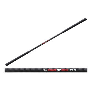 yő6000~N[|zzzLPSwing Power Up Stick D3 p[AbvXeBbN D3 K@