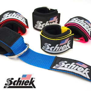 Schiek V[N ANXgbv S5F E1gZbg ؃g K r qbvAbv EGCgg[jO P[u}V LbNobN W