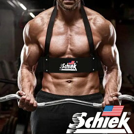 Schiek シーク アームブラスター ARM BLASTER 上腕二頭筋 トレーニング アームカールプレート 筋トレ ウエイトトレーニング ジム ダンベルカール トレーニング器具