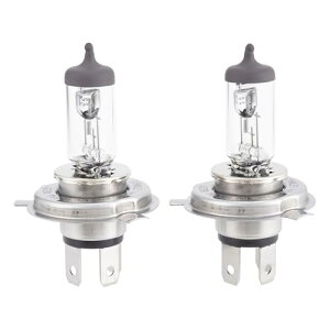 �X�^�����[�d�C(STANLEY) �n���Q���o���u ���[�V���O�n�C�p�[�n���Q���o���u H4 3200K RB49