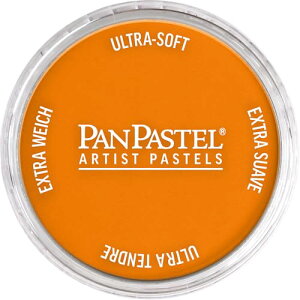 �p���p�X�e�� �I�����W 22805
