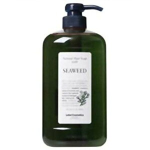LebeL(���x��) �i�`������ �w�A�\�[�v �E�B�Y 1000ml �V�[�E�B�[�h SW