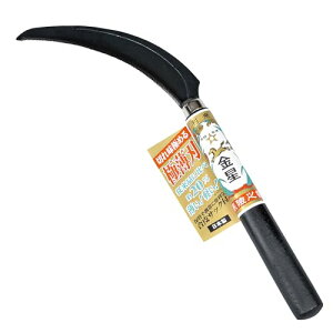 �L���{�V(Kinboshi) ������ �ɔ��n�V���[�Y ���� ���(�ɔ��n) ���n �⋭�t ����T�b�N�t 160043