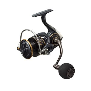 �_�C��(DAIWA) �X�s�j���O���[�� 22 �J���f�B�ASW 4000D-CXH(2022���f��)