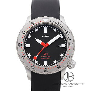 �W�� SINN U1 1010.U1 �V�i ���v �����Y