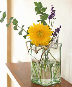 \/NOUSAKU(mETN) KAGO XNGA S  JS ȂEKAGO-SQUARE-S-4702301(fB[X)(1F-W)()