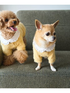 ySALE^20%OFFzyDOGzrbNJ[J[fBK ROPE' PICNIC PASSAGE ysNjbN ybgpi ybgEFAEybg zCg O[yRBA_Ez[Rakuten Fashion]